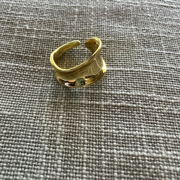 On SALE! 😍😍Vintage boho animal print & glitter earrings w gold tone ring. - Picture 4 of 6